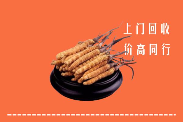 收购行情：中山区冬虫夏草回收多少钱每克